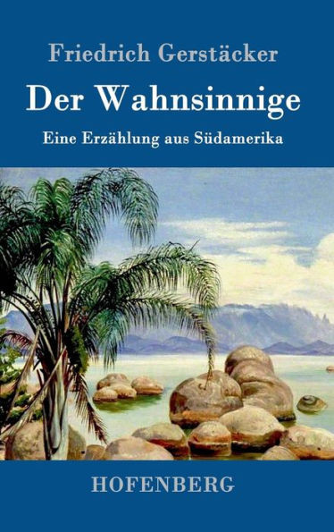 Der Wahnsinnige: Eine ErzÃ¤hlung aus SÃ¼damerika