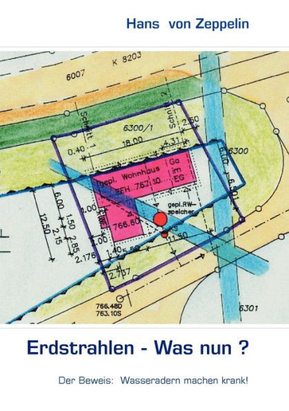 Erdstrahlen - Was nun?