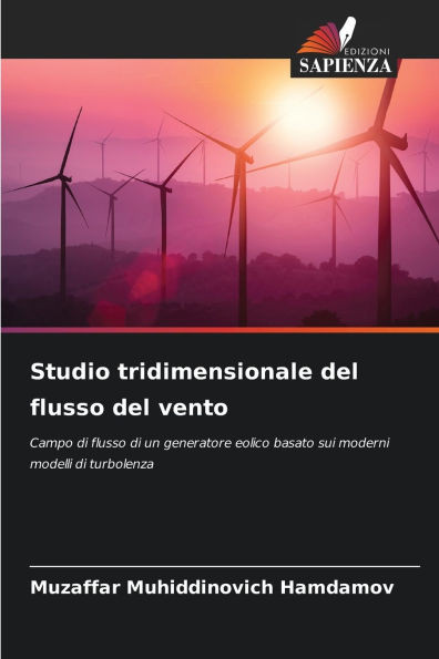 Studio tridimensionale del flusso del vento