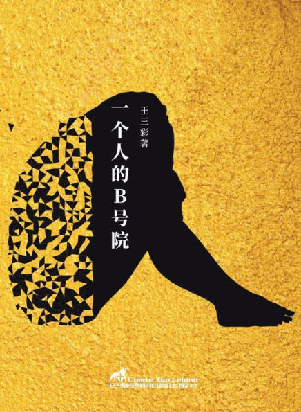 一个人的b号院