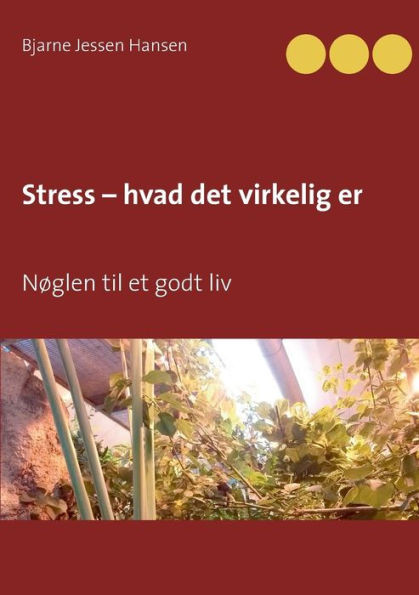 Stress - hvad det virkelig er: Nøglen til et godt liv