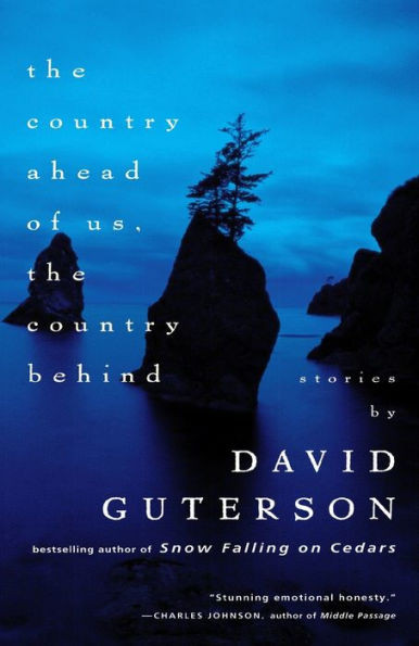 The Country Ahead of Us, the Country Behind