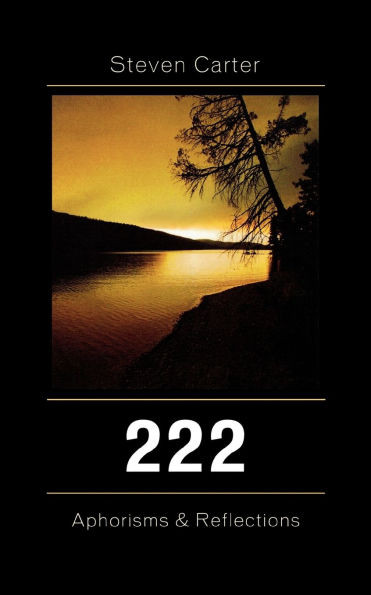 222: Aphorisms & Reflections, Volume 1