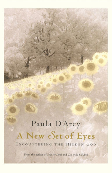 A New Set of Eyes Encountering the Hidden God