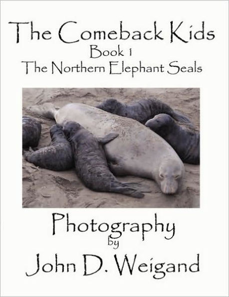 ""The Comeback Kids"" Book 1, The Northern Elephant Seals