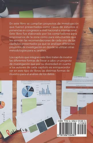Proyectos De Investigación 2020 (Spanish Edition)