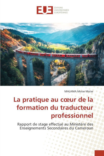 La pratique au coeur de la formation du traducteur professionnel