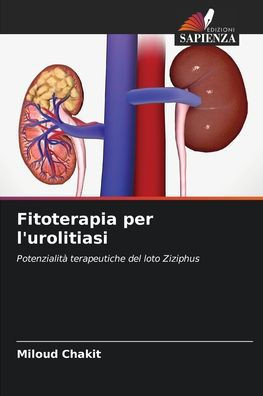 Fitoterapia per l'urolitiasi