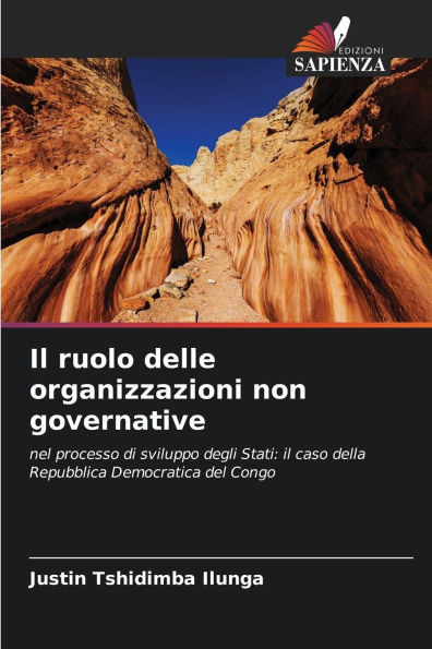 Il ruolo delle organizzazioni non governative