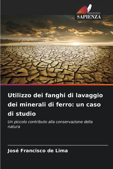 Utilizzo dei fanghi di lavaggio dei minerali di ferro: un caso di studio