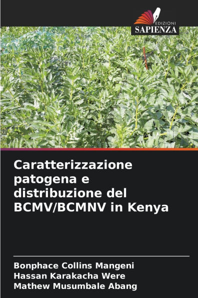 Caratterizzazione patogena e distribuzione del BCMV/BCMNV in Kenya