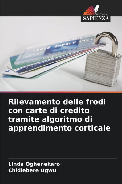Rilevamento delle frodi con carte di credito tramite algoritmo di apprendimento corticale