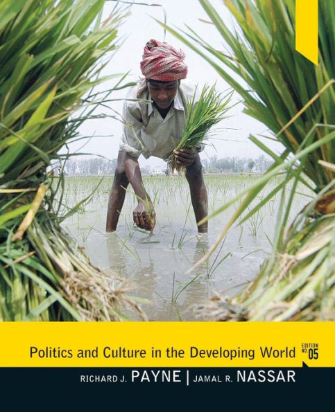 Politics and Culture in the Developing World