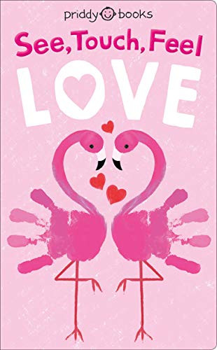 See Touch Feel: Love (See, Touch, Feel, 1)