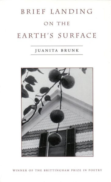 Brief Landing on the Earth's Surface: Volume 1996