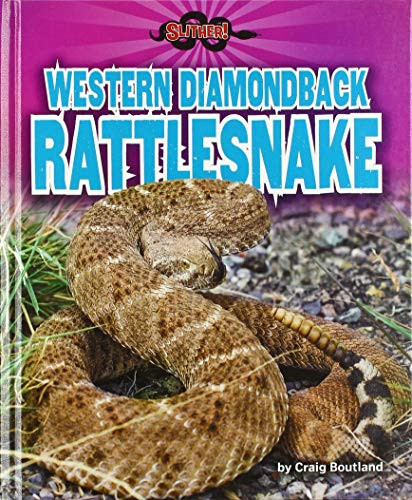 Western Diamondback Rattlesnake (Slither!)