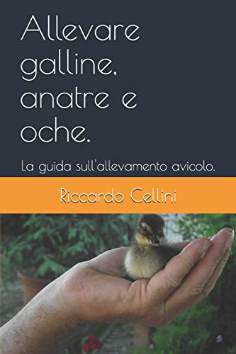 Allevare galline, anatre e oche.: La guida sull'allevamento avicolo. (Italian Edition)