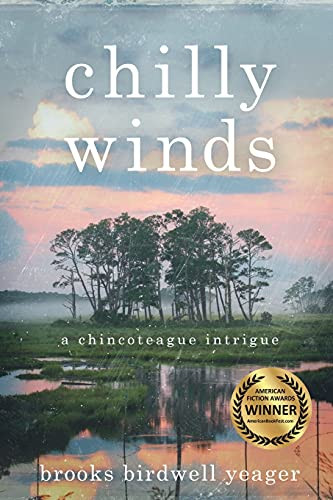 Chilly Winds - 9781646632282