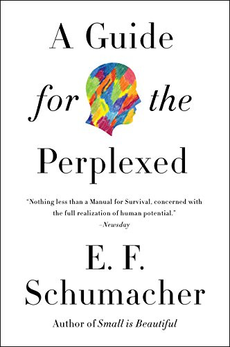 A Guide for the Perplexed (Harper Perennial Modern Thought)