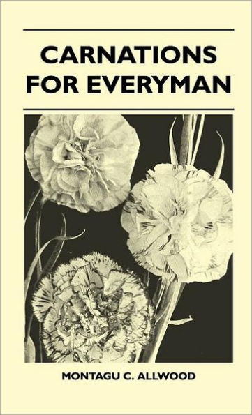 Carnations For Everyman