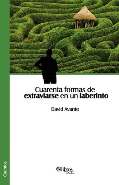 Cuarenta Formas de Extraviarse En Un Laberinto