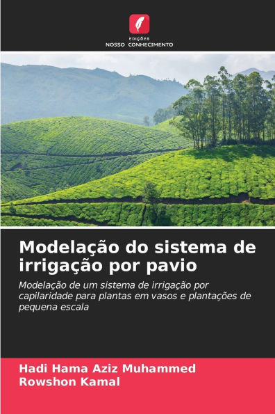 Modelação do sistema de irrigação por pavio