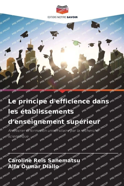 Le principe d'efficience dans les établissements d'enseignement supérieur