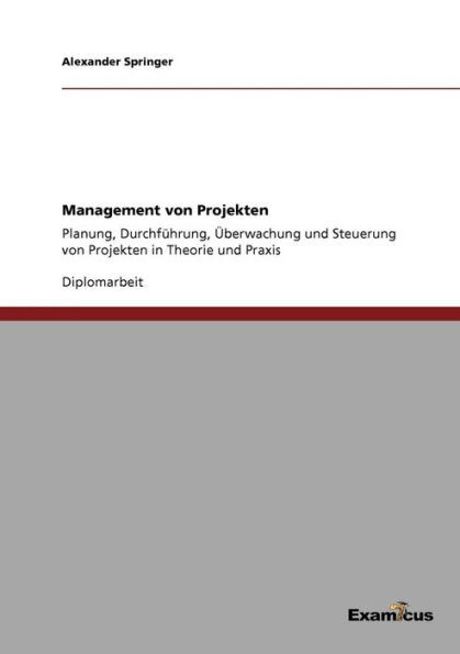 Management von Projekten: Planung, Durchführung, Überwachung und Steuerung von Projekten in Theorie und Praxis