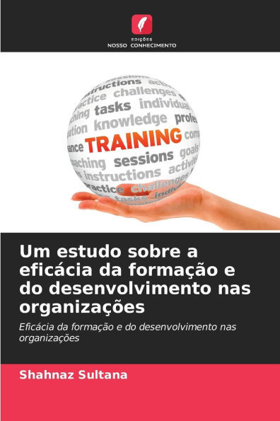 Um estudo sobre a eficÃ¡cia da formaÃ§Ã£o e do desenvolvimento nas organizaÃ§Ãµes