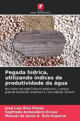 Pegada hÃ­drica, utilizando Ã­ndices de produtividade da Ã¡gua