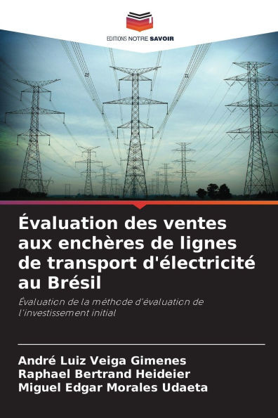 Ã‰valuation des ventes aux enchÃ¨res de lignes de transport d'Ã©lectricitÃ© au BrÃ©sil