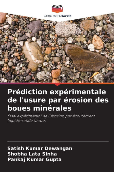 PrÃ©diction expÃ©rimentale de l'usure par Ã©rosion des boues minÃ©rales