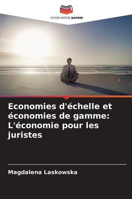 Economies d'Ã©chelle et Ã©conomies de gamme: L'Ã©conomie pour les juristes