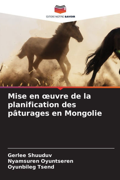 Mise en oeuvre de la planification des pÃ¢turages en Mongolie