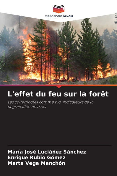 L'effet du feu sur la forÃªt