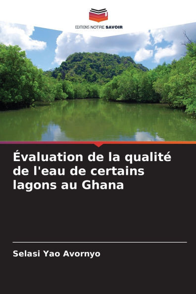 Ã‰valuation de la qualitÃ© de l'eau de certains lagons au Ghana