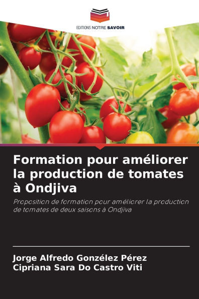 Formation pour amÃ©liorer la production de tomates Ã  Ondjiva