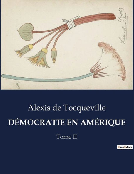 Démocratie En Amérique: Tome II