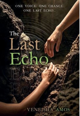 The Last Echo: What Echo Do You Hear?