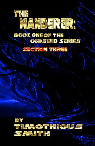 The Wanderer : Book One of the Godsend Series Section 3