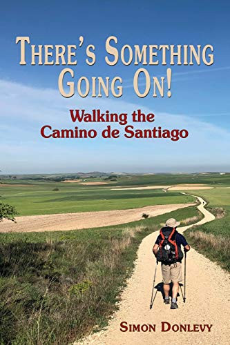 There's Something Going On! : Walking the Camino de Santiago