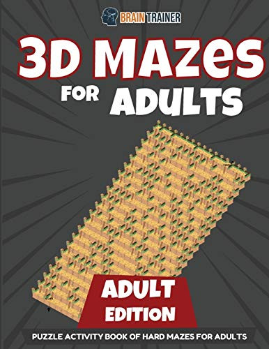 3D Mazes for Kids 15 Year Old Edition - Fun Activity Book of Mazes for Girls and Boys (Ages 15)