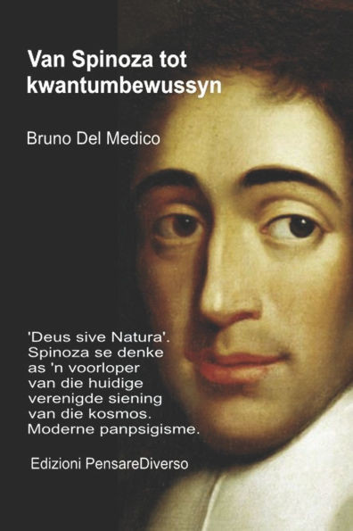 Van Spinoza tot kwantumbewussyn: 'Deus sive Natura'. Spinoza se denke as 'n voorloper van die huidige verenigde siening van die kosmos. Moderne panpsi