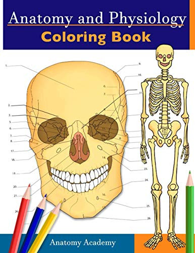 Anatomy and Physiology Coloring Book : Incredibly Detailed Self-Test Color Workbook for Studying | Perfect Gift for Medical School Students, Doctors, Nurses and Adults