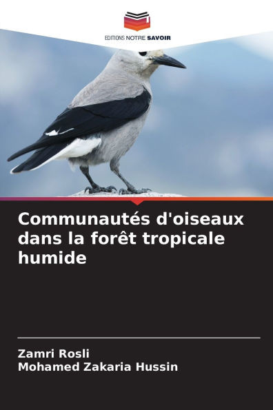 Communautés d'oiseaux dans la forêt tropicale humide