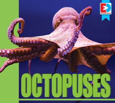Octopuses