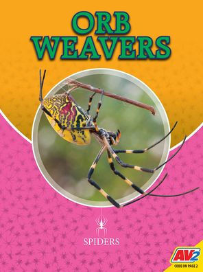 Orb Weavers