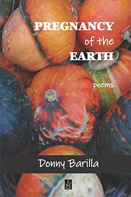 Pregnancy of the Earth : Poems