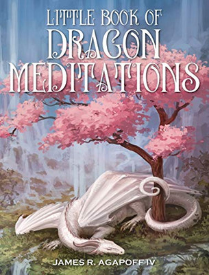 Little Book of Dragon Meditations