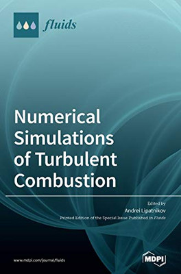 Numerical Simulations of Turbulent Combustion